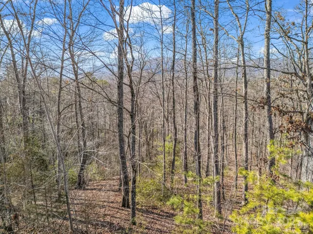 $45,000 | 0 Golden Ridge Drive, Lake Lure, NC 28746