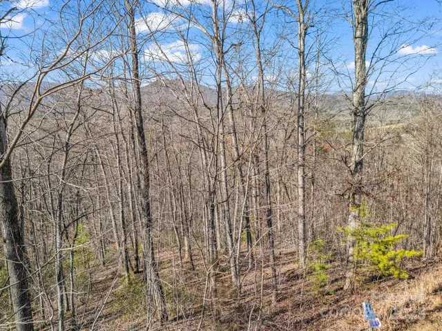 $45,000 | 0 Golden Ridge Drive, Lake Lure, NC 28746