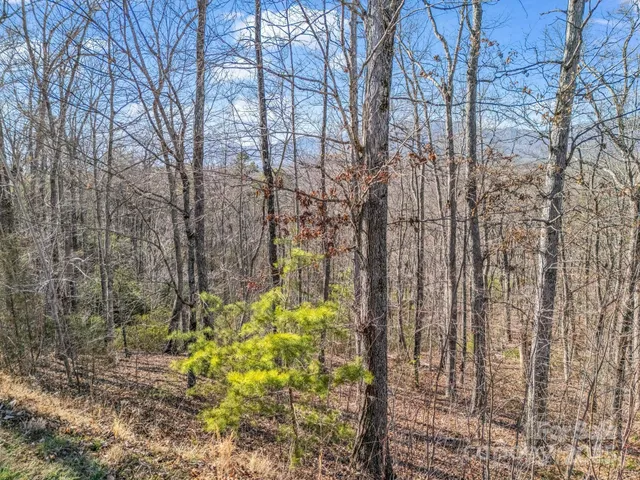 $45,000 | 0 Golden Ridge Drive, Lake Lure, NC 28746