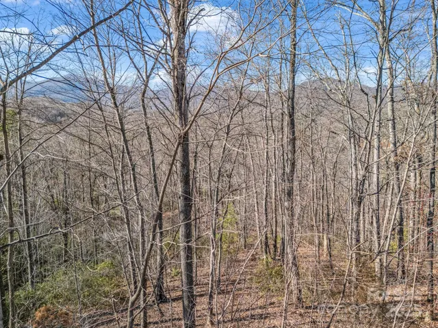 $45,000 | 0 Golden Ridge Drive, Lake Lure, NC 28746