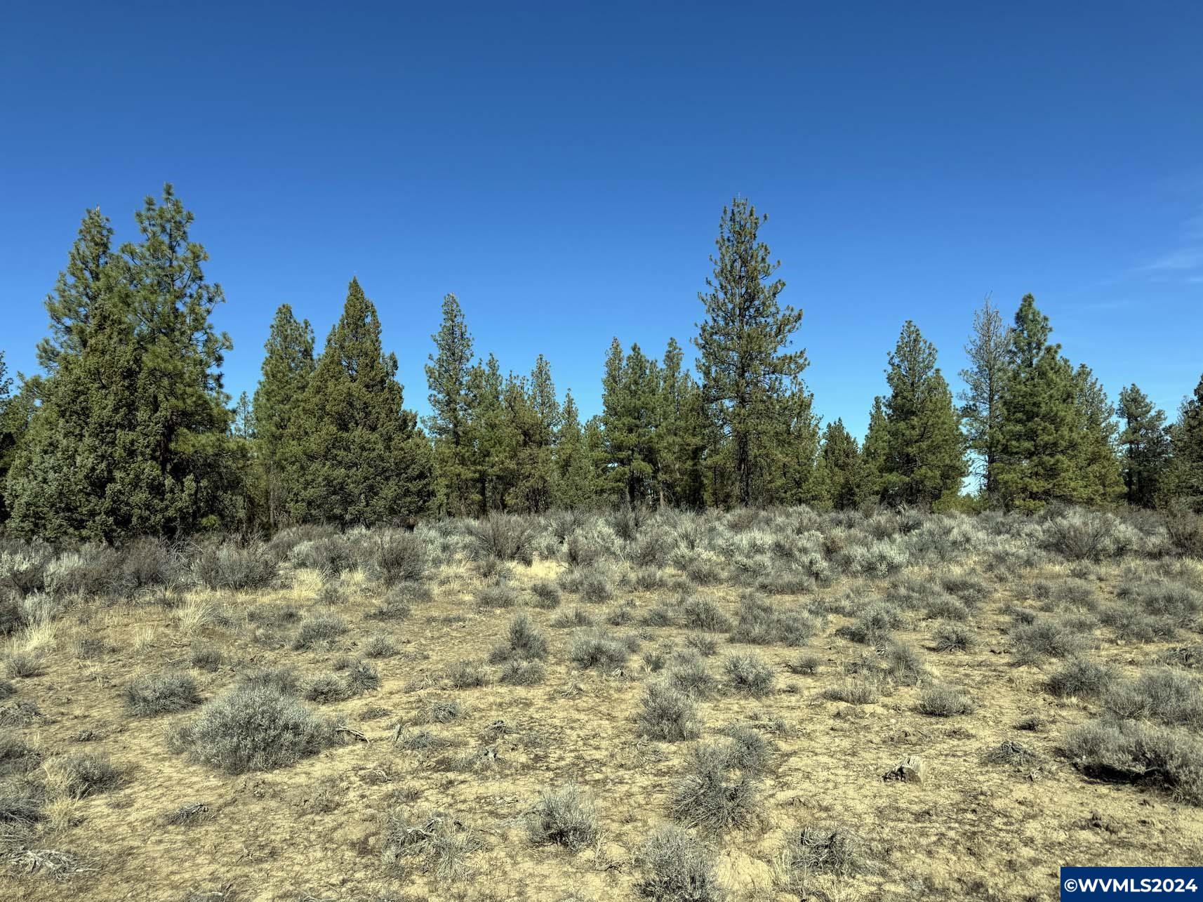 600 Oregon Pines Road Chiloquin, OR 97624 - Photo 35 of 49