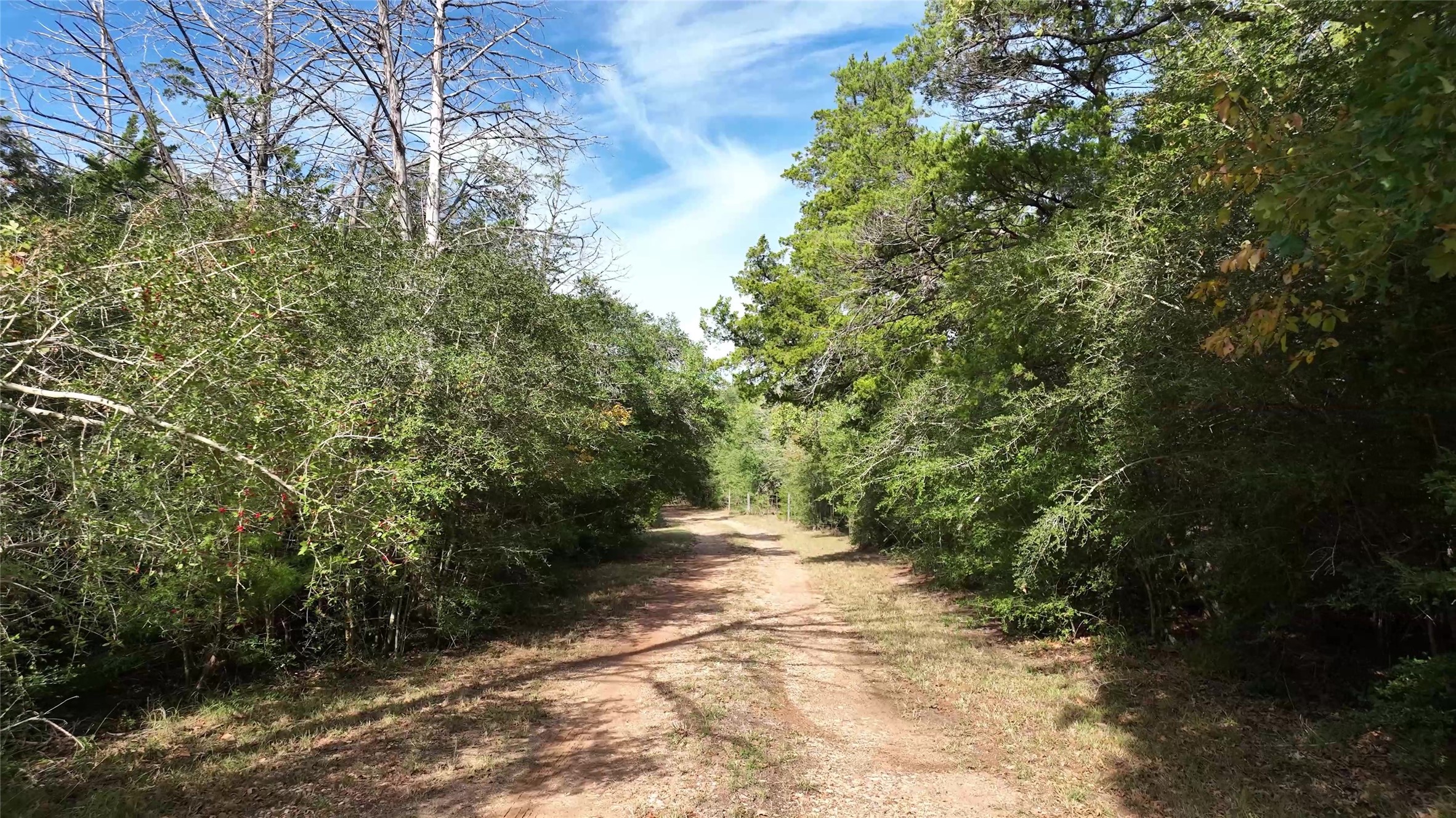 5400 Florida Chapel Road Round Top, TX 78954 - Photo 33 of 45