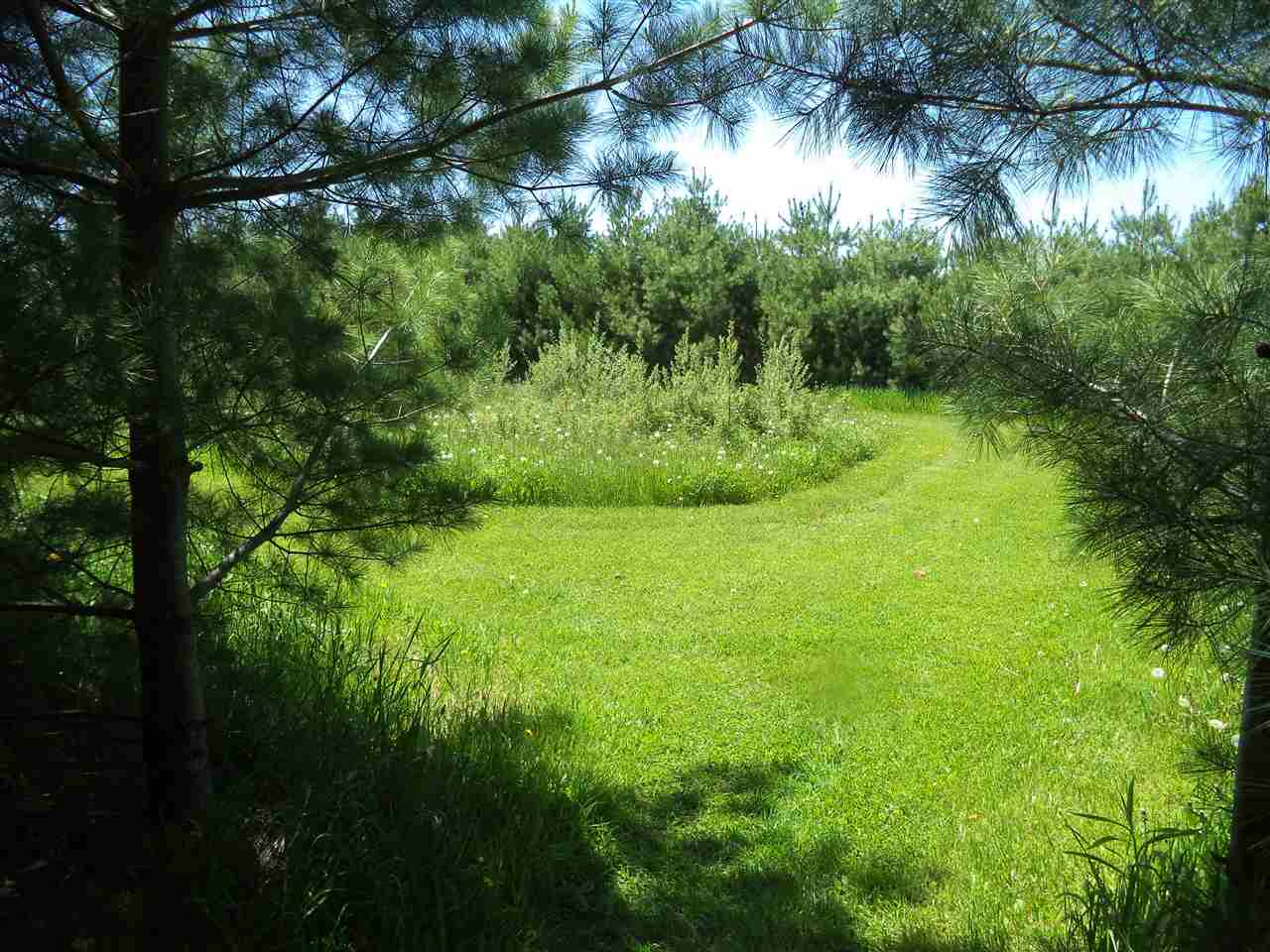 6909 Old State Road Whittemore, MI 48770 - Photo 39 of 41 1862456-38.JPG