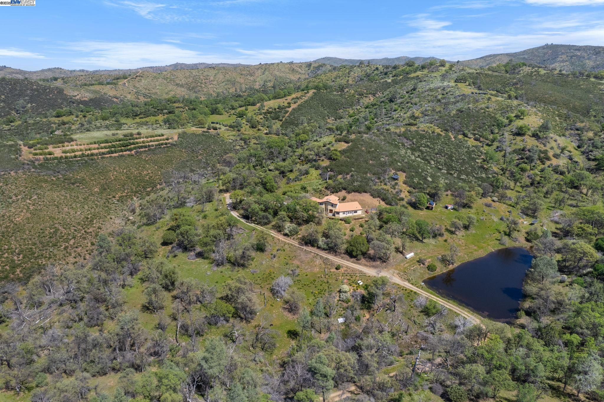 Aerial View of the house, main pond and olive orchard