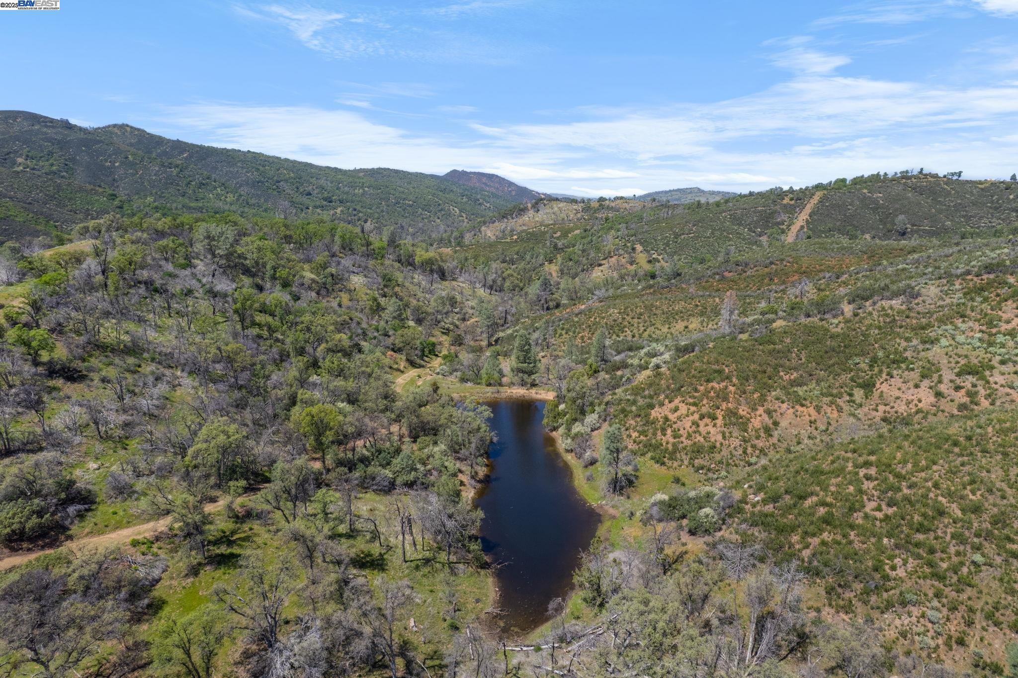 59480 Mines Road Livermore, CA 94550 - Photo 12 of 44 Second pond located on parcel 1