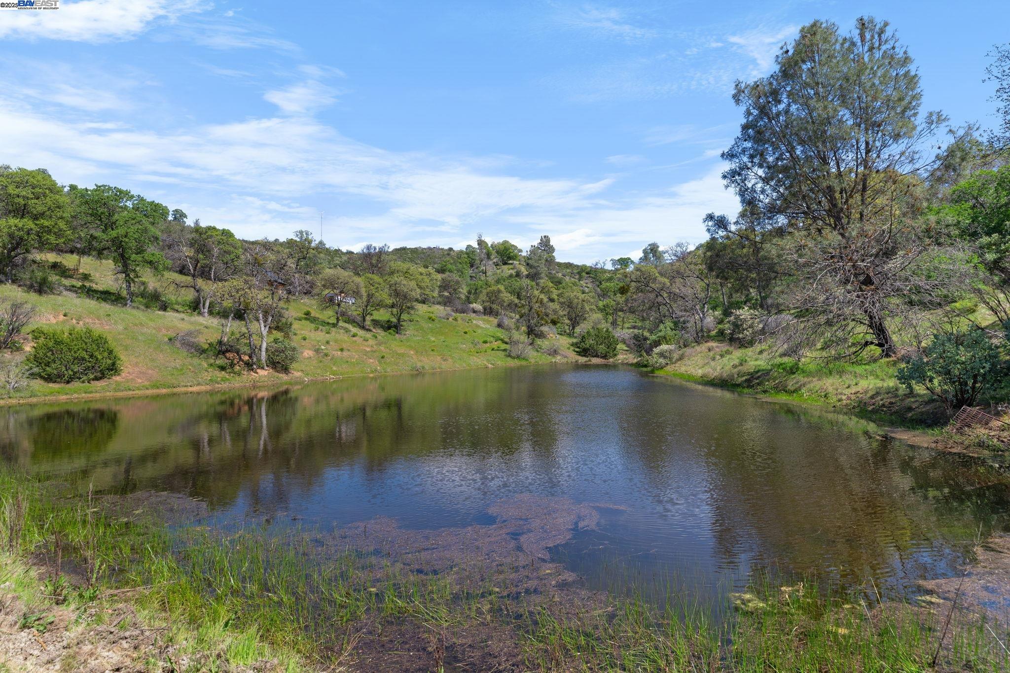 59480 Mines Road Livermore, CA 94550 - Photo 2 of 44 Main pond near the house where wildlife come to drink