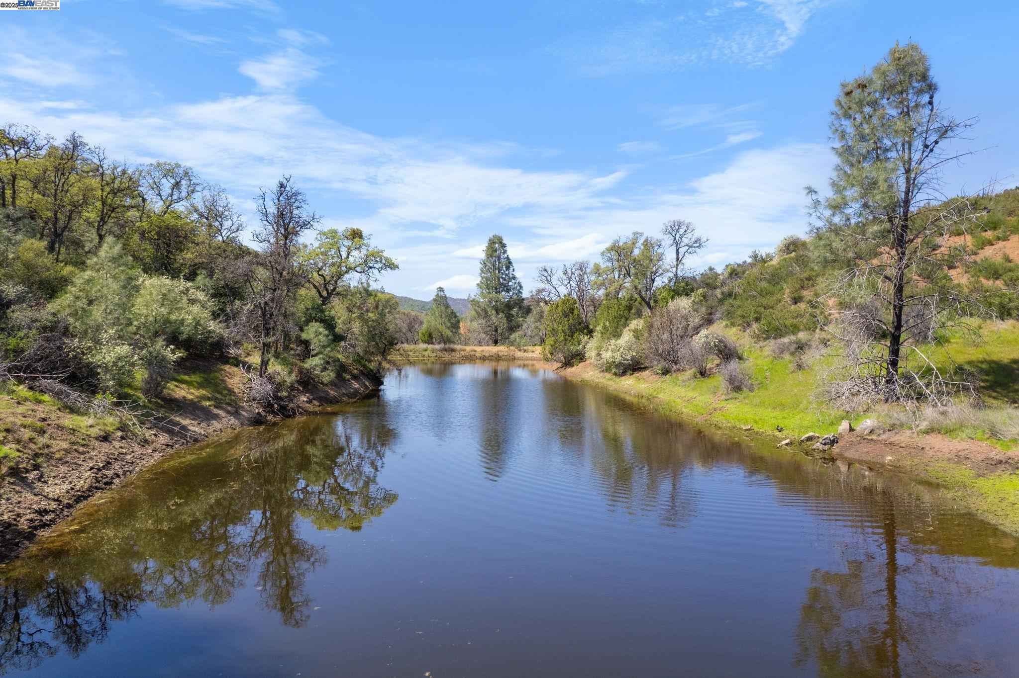 59480 Mines Road Livermore, CA 94550 - Photo 7 of 44 Pond near the house has fish, frogs, dragonflies and more