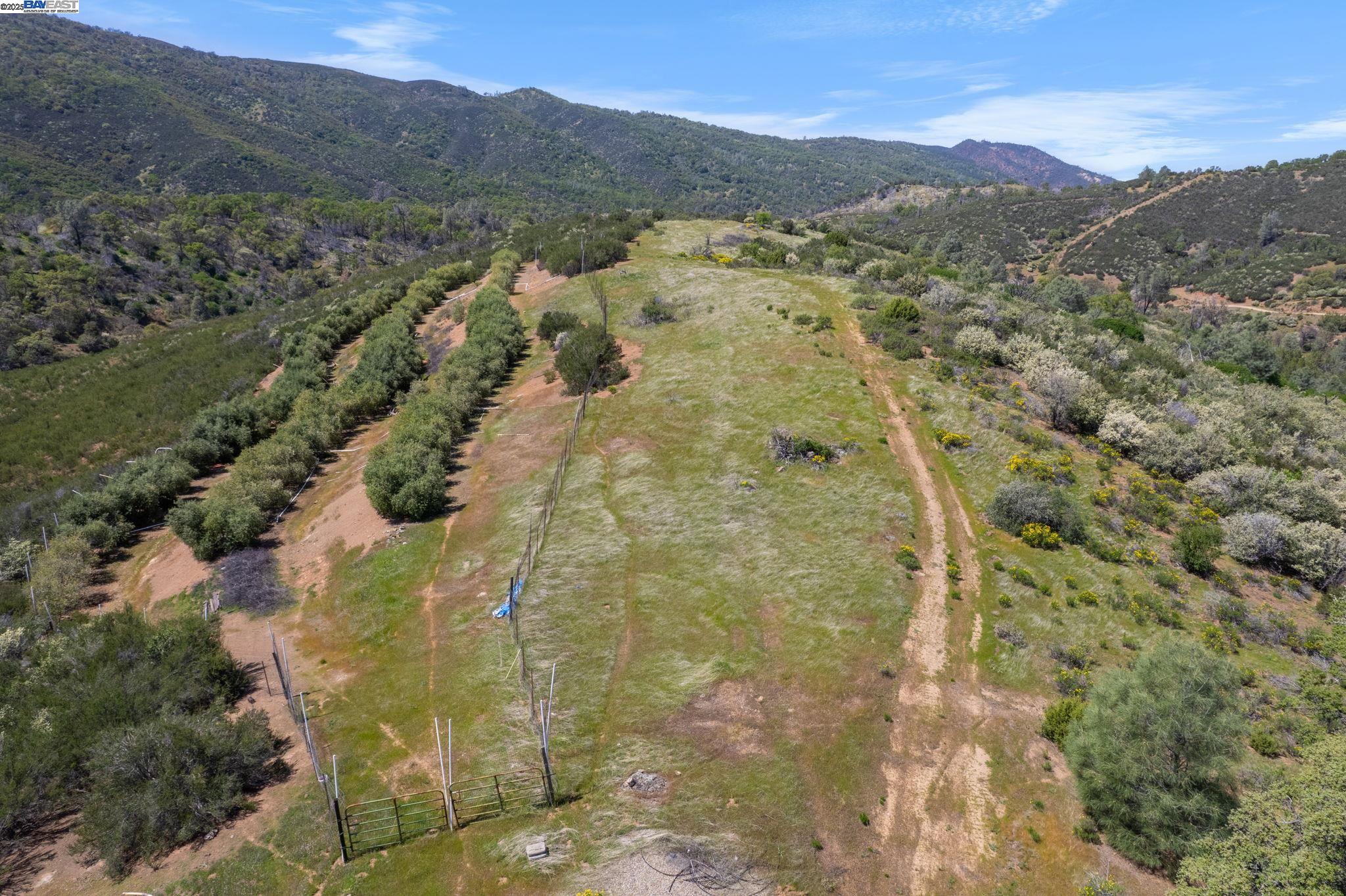 59480 Mines Road Livermore, CA 94550 - Photo 10 of 44 Fenced olive orchard surmounted by a large plateau. Orchard has a piped watering system from the tanks