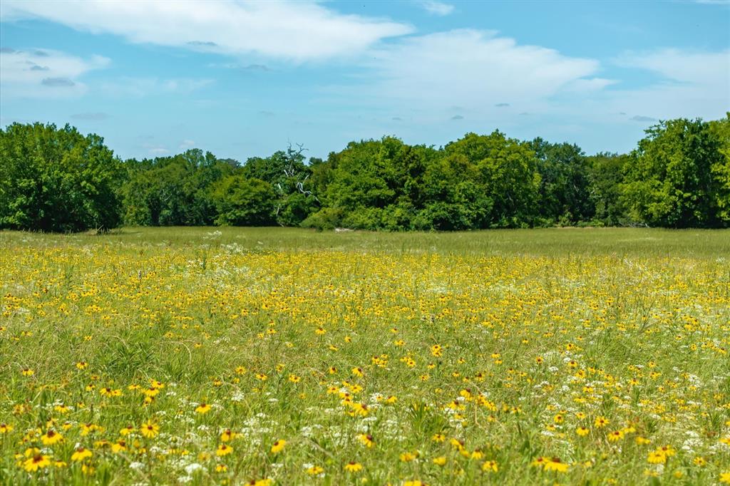 Lot 2 State Highway Emory, TX 75440 - Photo 6 of 24 Gallery Image 6
