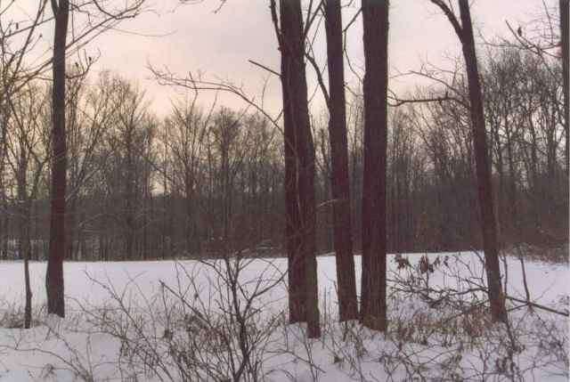 Par 1 Curtis Road Grass Lake, MI 49240 - Photo 1 of 1 Photo 1