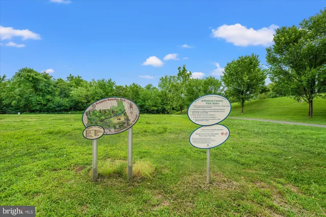 a table and chairs in the garden