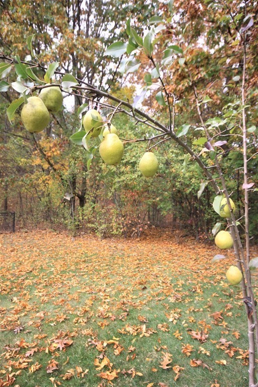 96 Coolidge Circle Northborough, MA 01532 - Photo 4 of 41