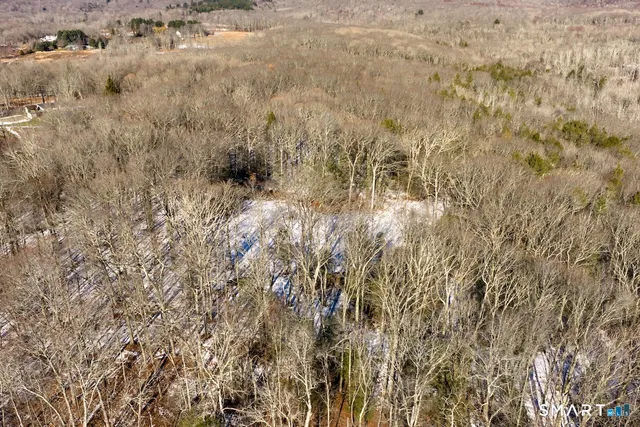 a view of a garden with a bench