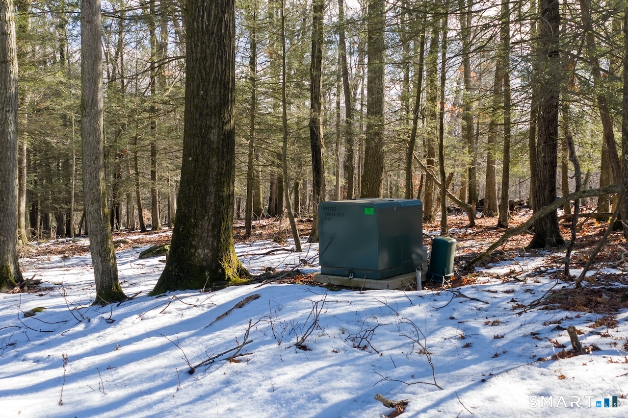 77 Belgo Road Salisbury, CT 06039 - Photo 6 of 8 a view of a garden with a bench
