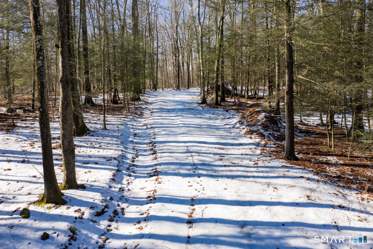 77 Belgo Road Salisbury, CT 06039 - Photo 7 of 8 a view of pathway along with yard
