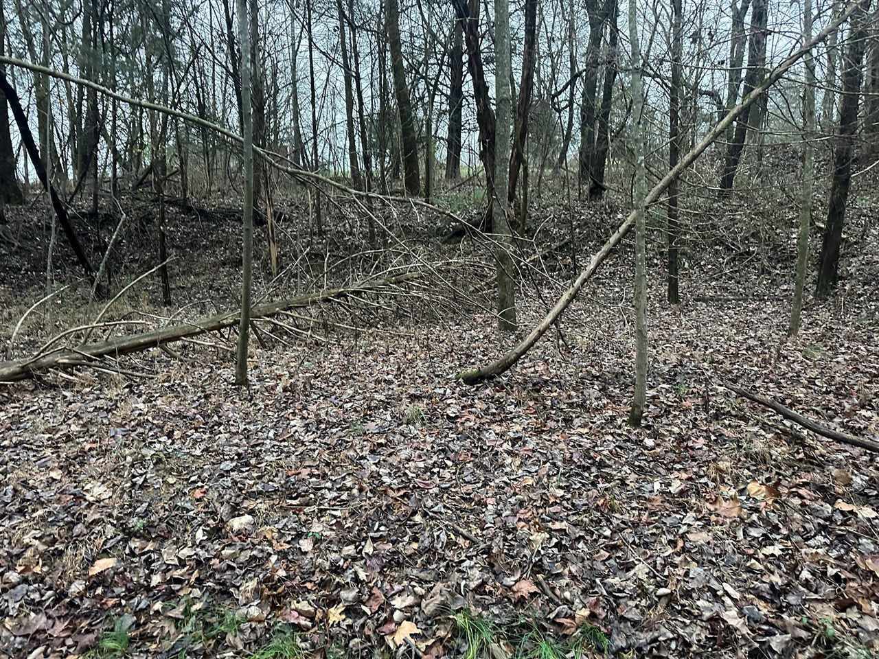 0 North Gillock Road Glasgow, KY 42141 - Photo 8 of 13 Gallery Image 8