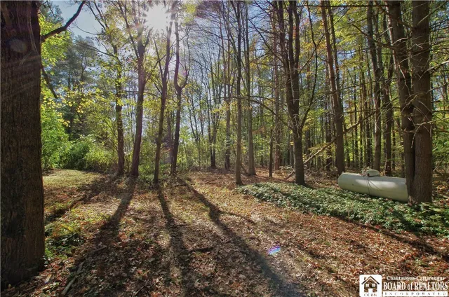 $225,000 | 3714 Mead Road, Busti, NY 14701