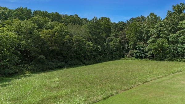 4664 New Cut Road Greenbrier, TN 37073 - Photo 67 of 85