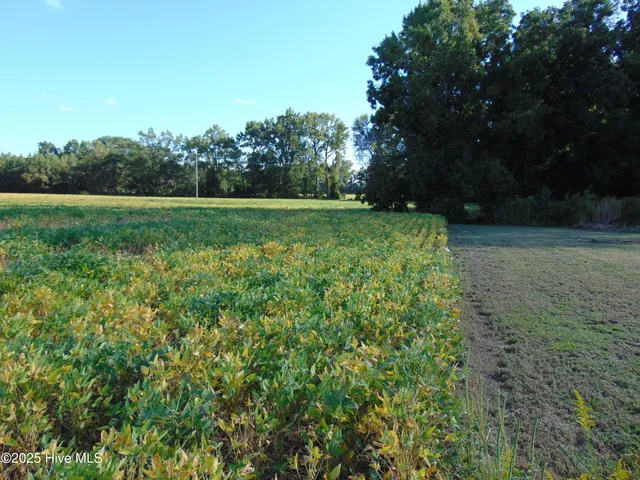 $475,000 | 13619 Highway 258, Scotland Neck, NC 27874