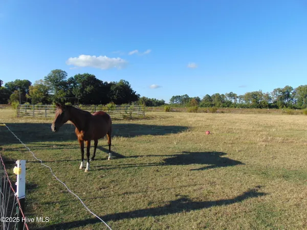 $459,900 | 13619 Highway 258, Scotland Neck, NC 27874