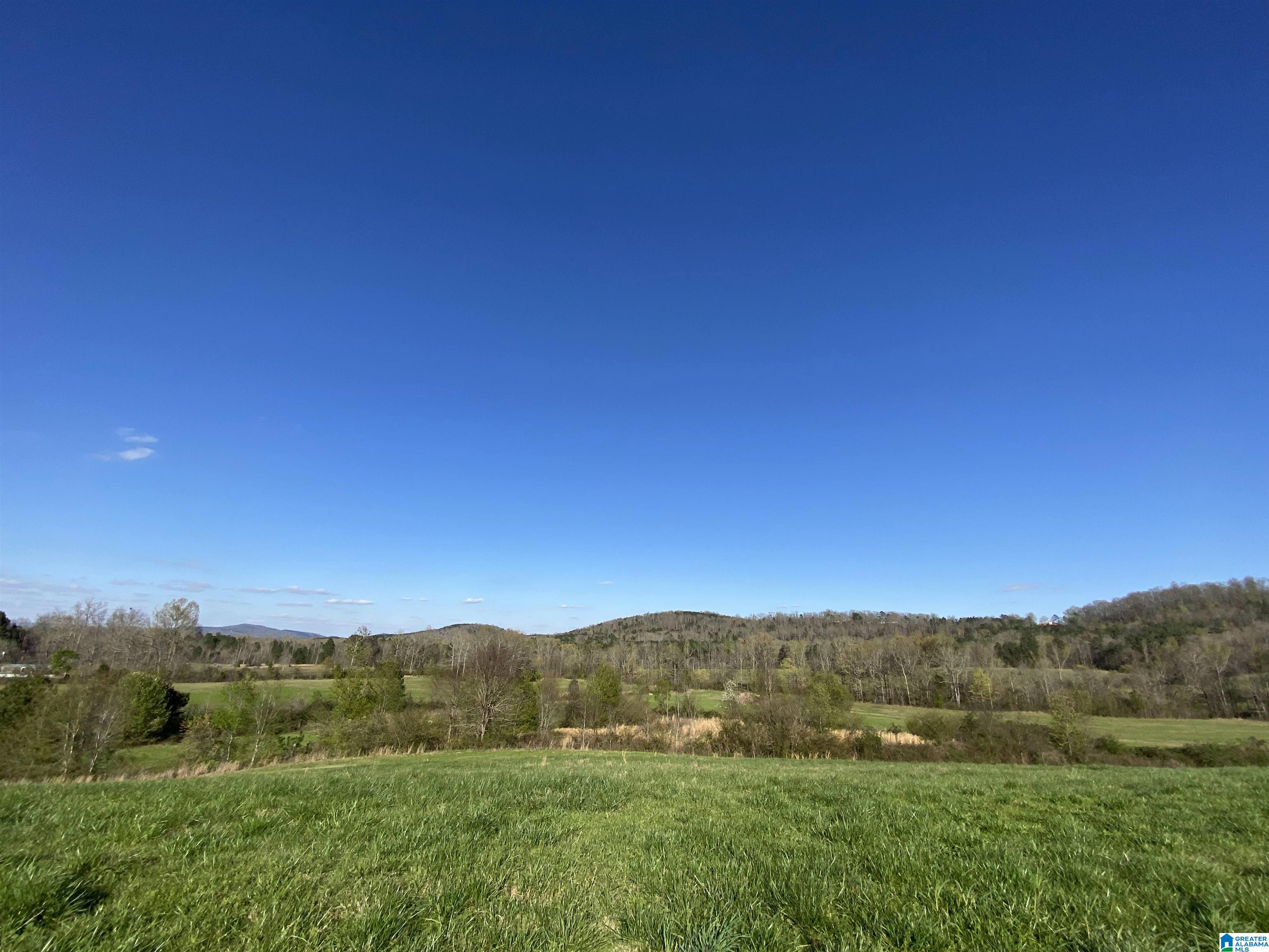 6405 Highway 174, Unit TRACT 2 Springville, AL 35146 - Photo 13 of 14