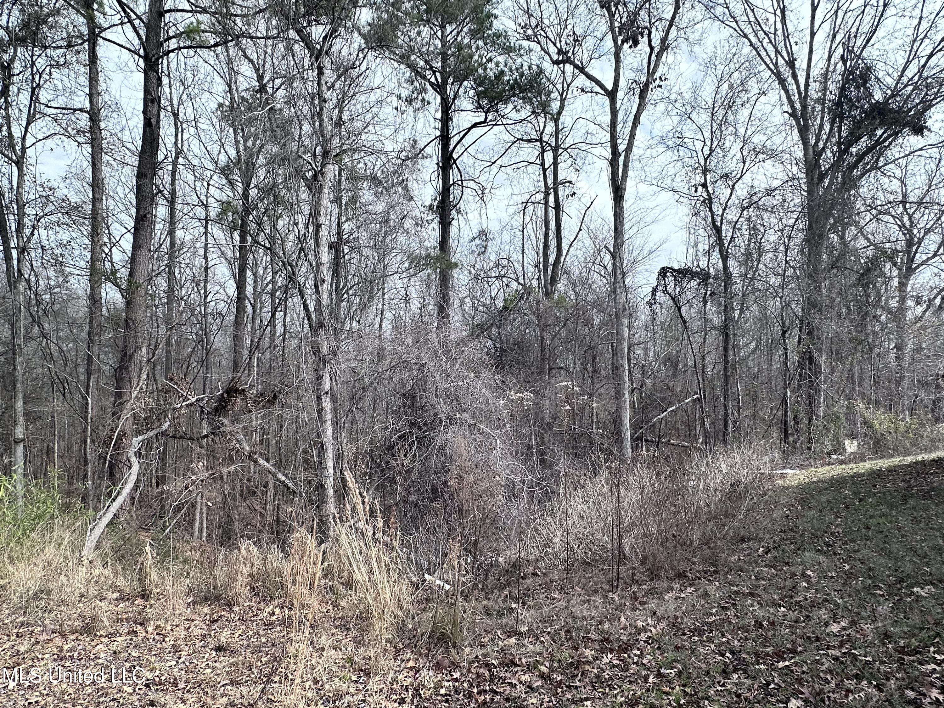 2456 Herren Road Utica, MS 39175 - Photo 33 of 53 Photo Jan 22 2024, 11 42 51 AM
