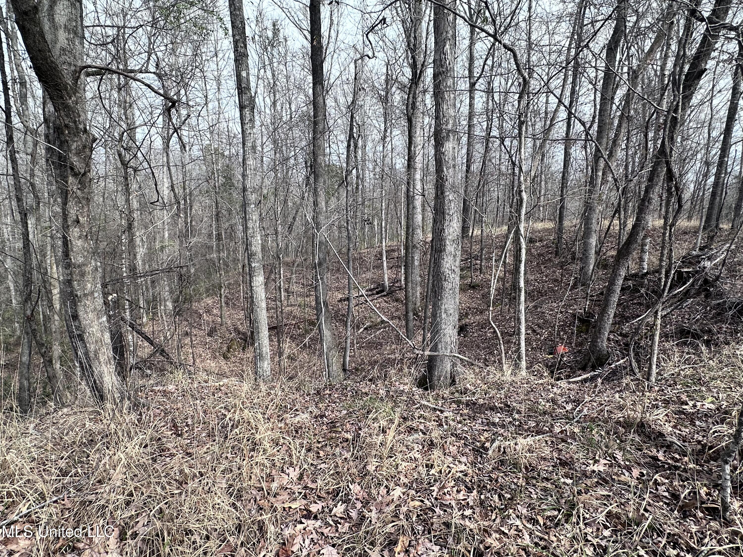 2456 Herren Road Utica, MS 39175 - Photo 44 of 53 Photo Jan 22 2024, 11 48 43 AM