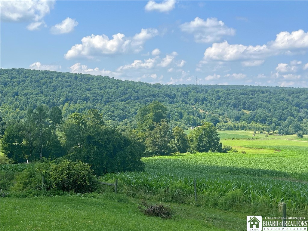 319 Ericsson Road Kennedy, NY 14747 - Photo 5 of 23