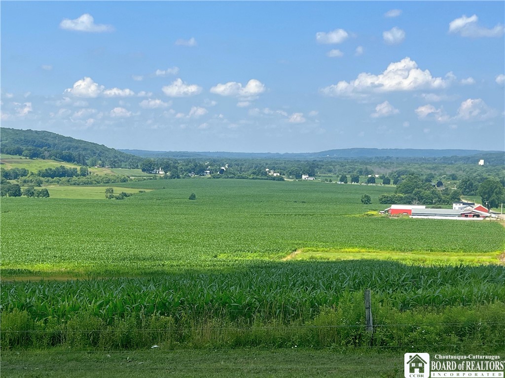 319 Ericsson Road Kennedy, NY 14747 - Photo 6 of 23