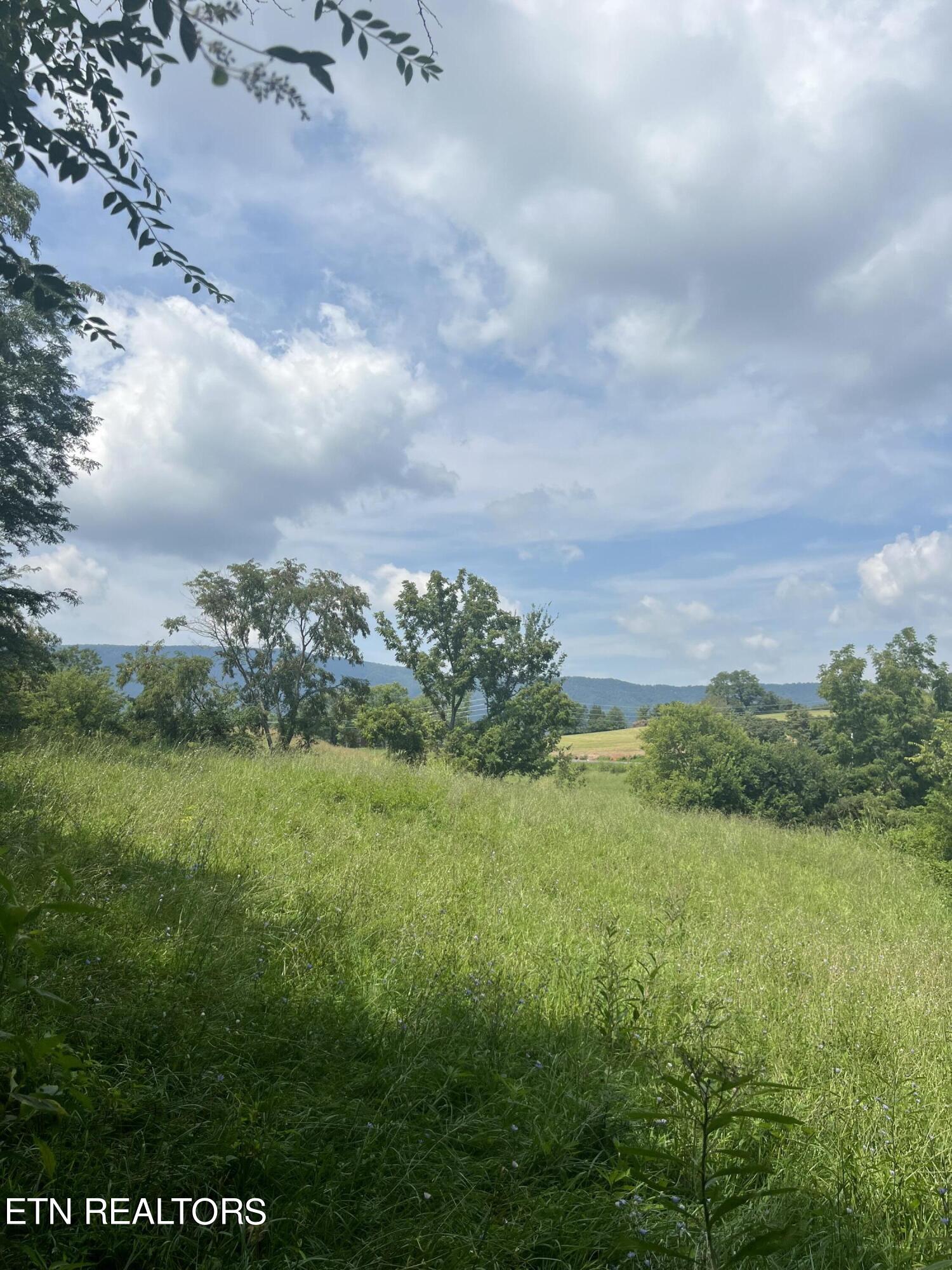 Bogard Road Newport, TN 37821 - Photo 4 of 5 IMG_2610