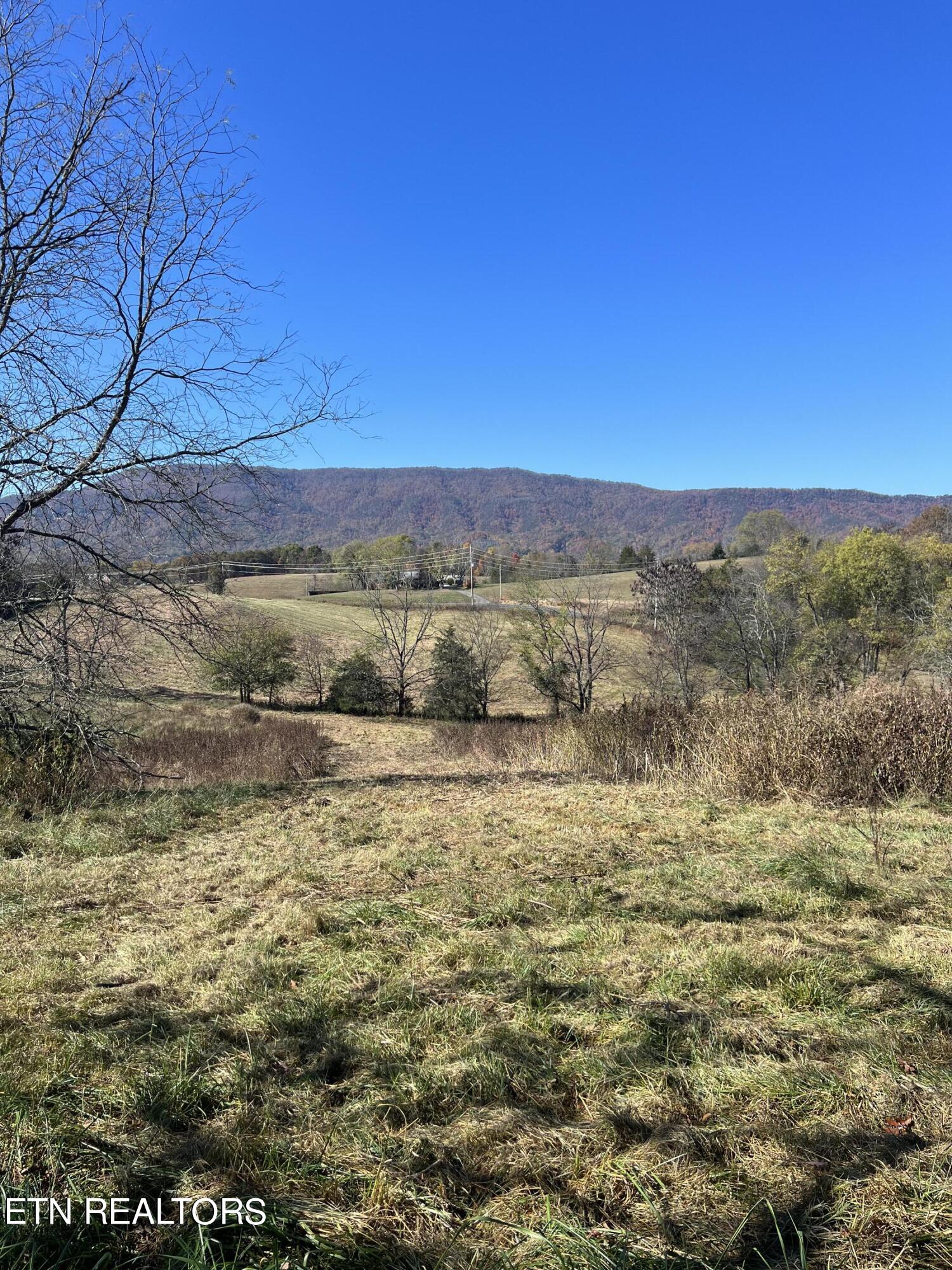 Bogard Road Newport, TN 37821 - Photo 5 of 5 IMG_3306