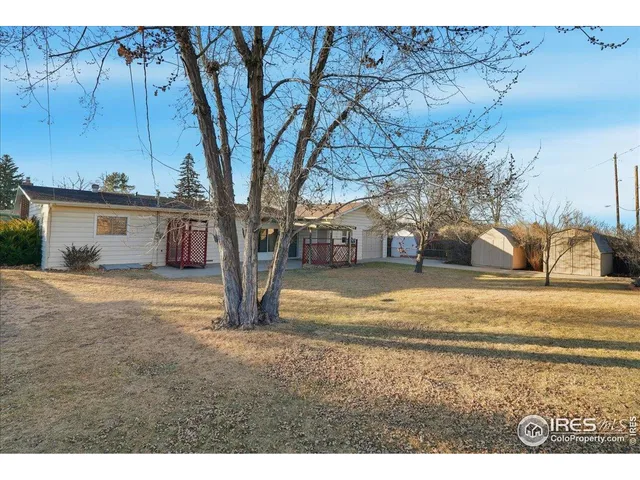a view of yard with tree in front of it
