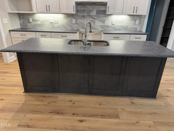 a kitchen with a sink and cabinets