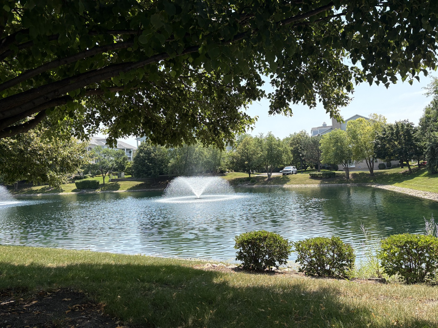 1291 West Lake Street, Unit 302 Addison, IL 60101 - Photo 3 of 46