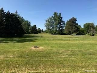 Vl Palms Road Goodells, MI 48027 - Photo 2 of 2