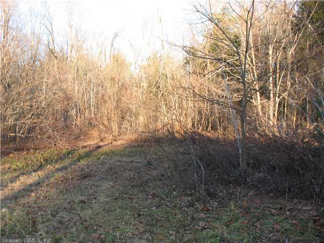 a view of forest