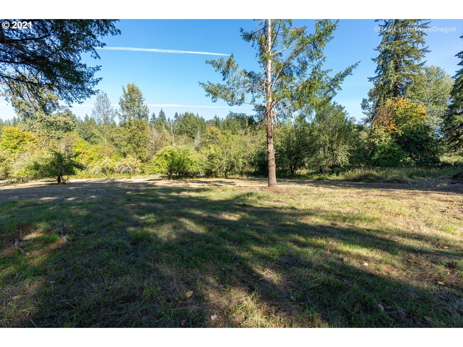 South Dickey Prairie Road, Unit 1176 Molalla, OR 97038 - Photo 12 of 28 a view of a green yard