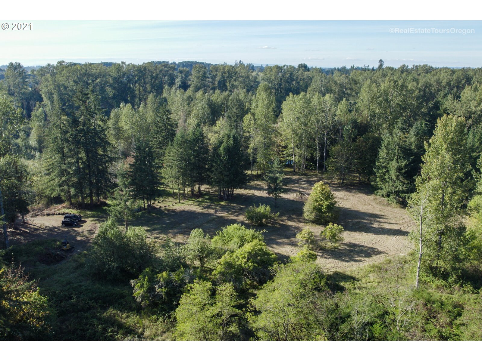 South Dickey Prairie Road, Unit 1176 Molalla, OR 97038 - Photo 22 of 28 a view of a forest with trees