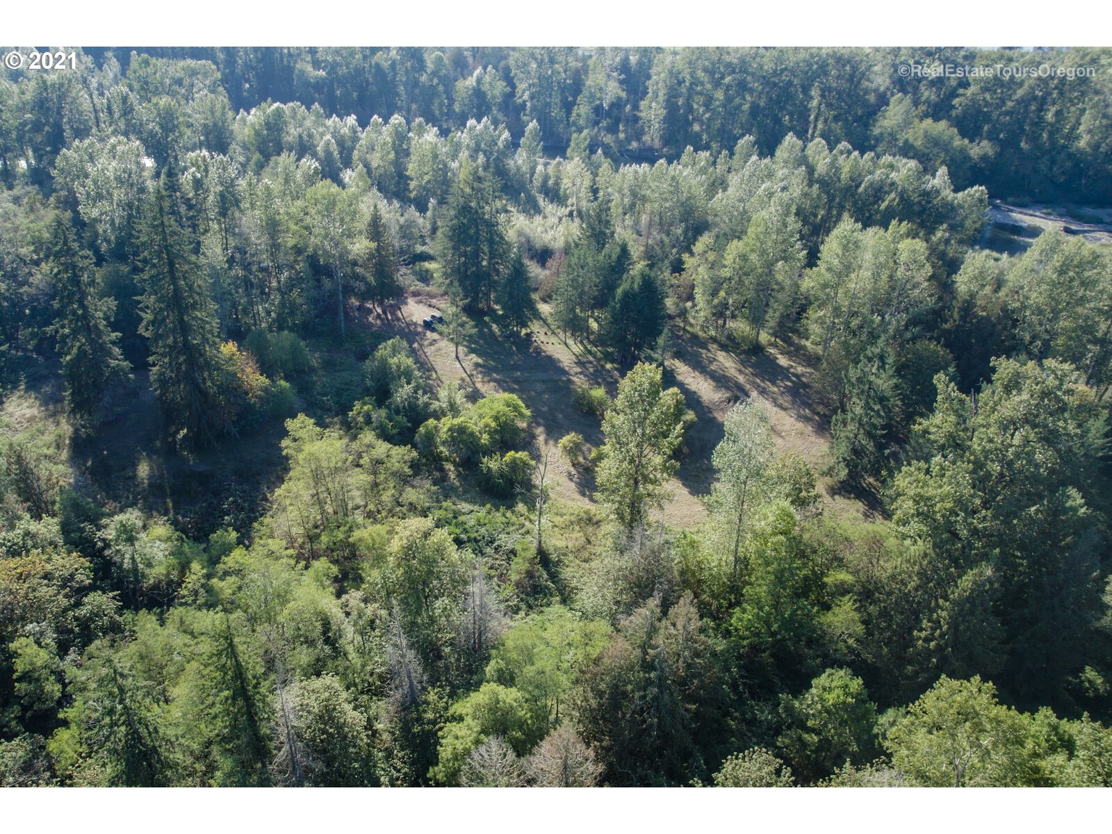 South Dickey Prairie Road, Unit 1176 Molalla, OR 97038 - Photo 23 of 28 a view of a forest with a street