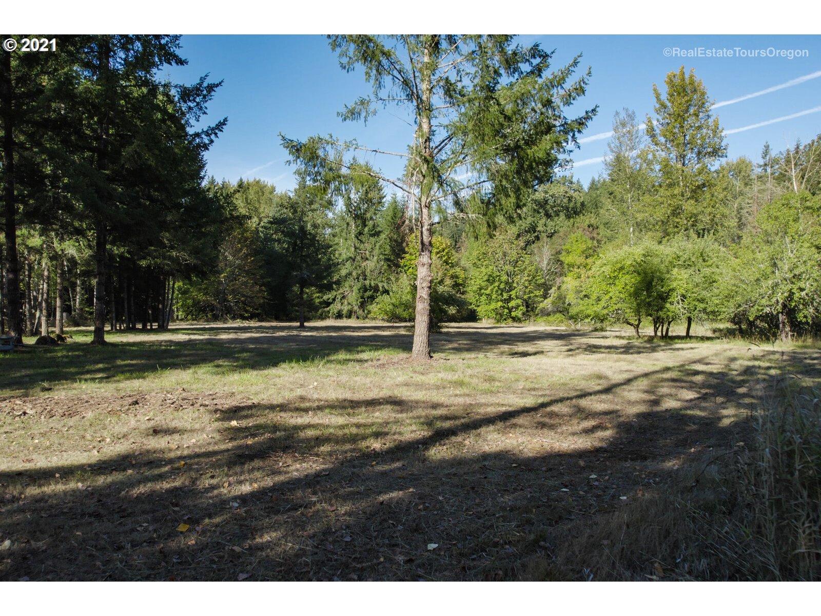 South Dickey Prairie Road, Unit 1176 Molalla, OR 97038 - Photo 24 of 28 a view of outdoor space with trees