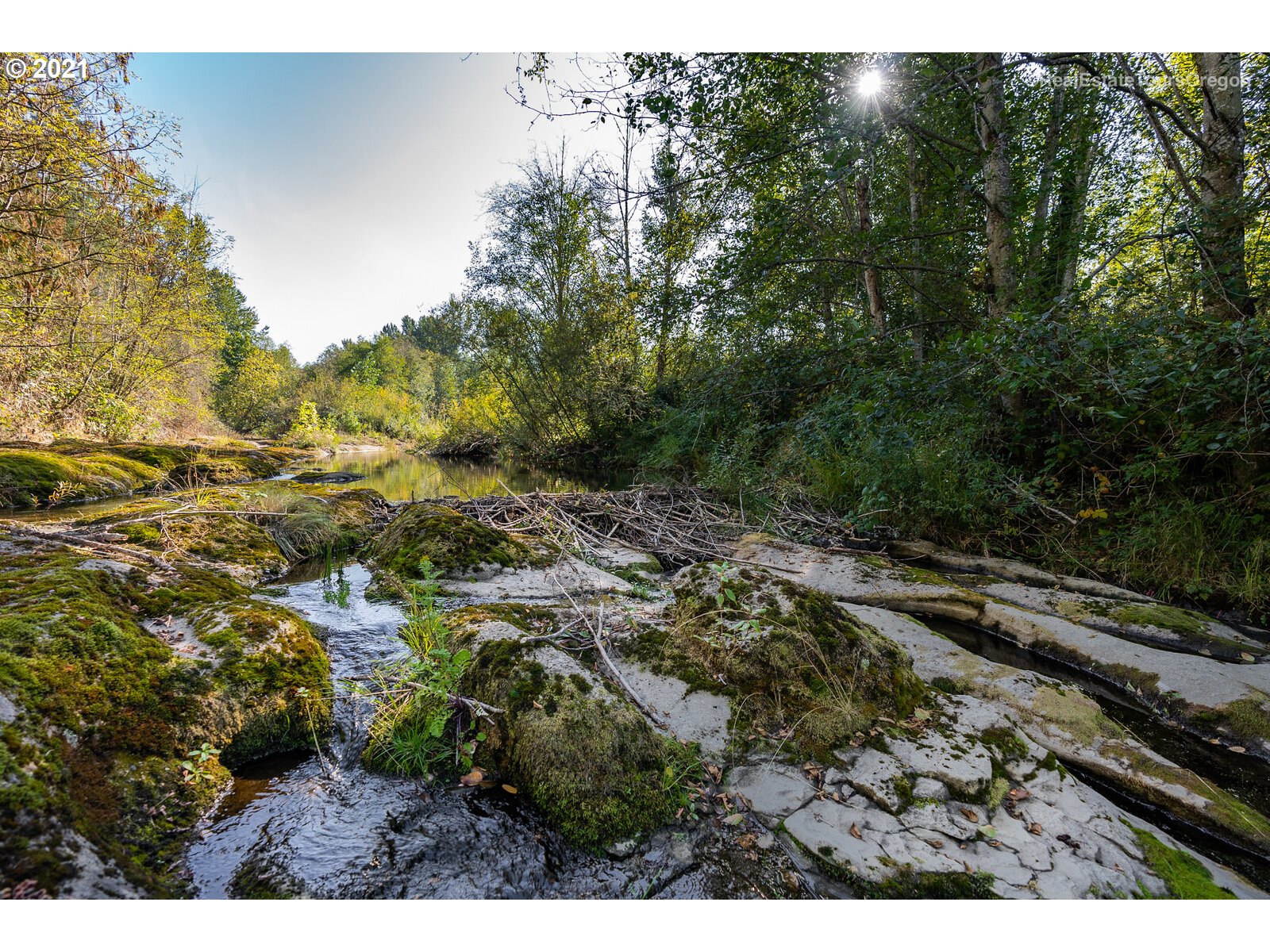 South Dickey Prairie Road, Unit 1176 Molalla, OR 97038 - Photo 25 of 28 a view of a yard with a tree