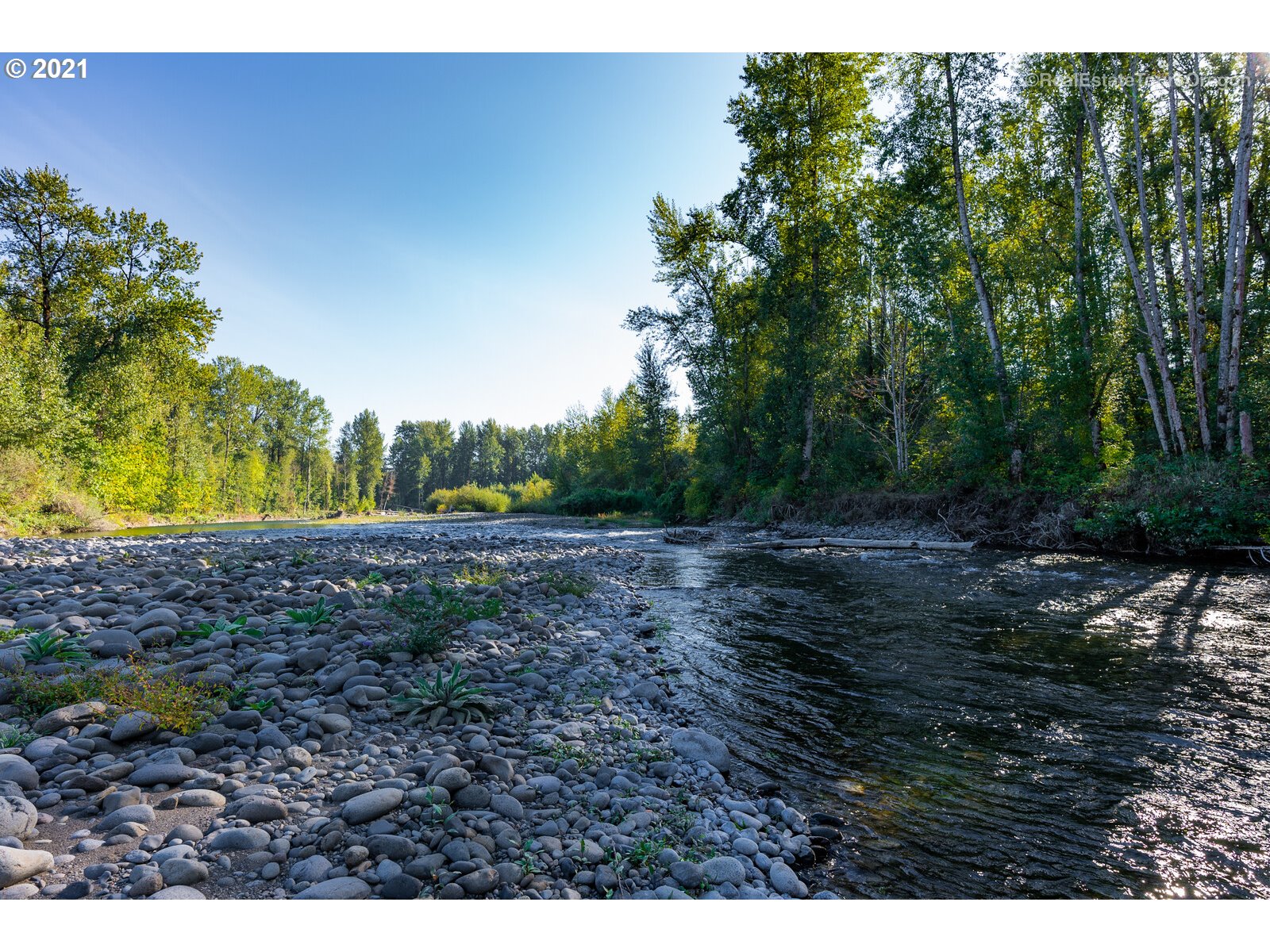 South Dickey Prairie Road, Unit 1176 Molalla, OR 97038 - Photo 9 of 28 a view of outdoor space and yard