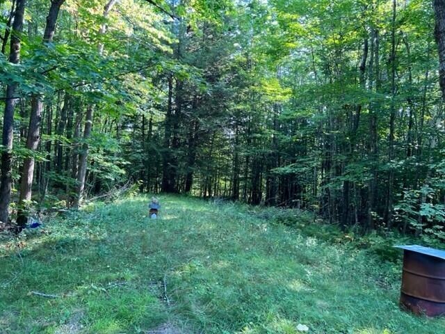 2617 Industry Road Starks, ME 04911 - Photo 7 of 20 73