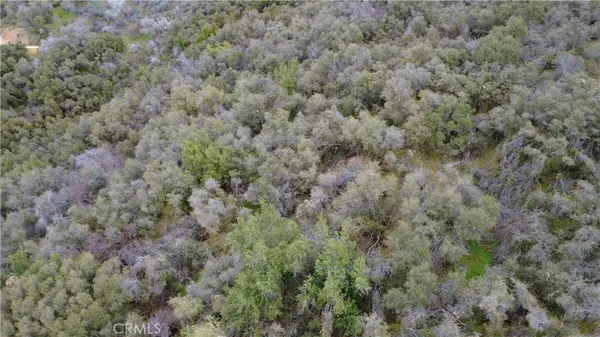 a view of a field with trees