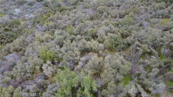 a view of a field with trees