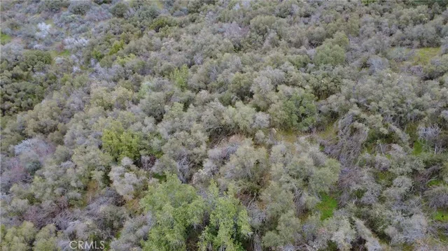 $40,000 | 0 Apn 190-430-43 Squaw Valley, Squaw Valley, CA 93675