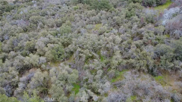 $40,000 | 0 Apn 190-430-43 Squaw Valley, Squaw Valley, CA 93675