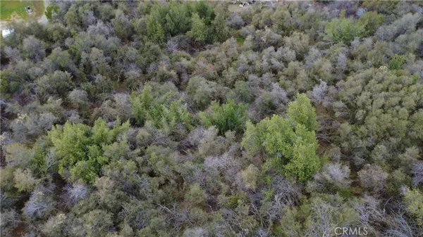 a view of a field of grass and trees