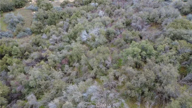 $40,000 | 0 Apn 190-430-43 Squaw Valley, Squaw Valley, CA 93675