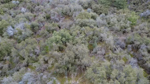 a view of a field of grass and trees